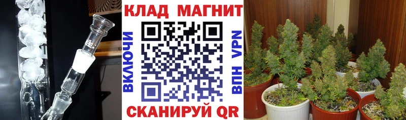 Виды наркоты Обнинск LSD-25  mega ссылка  МЕТАМФЕТАМИН  Амфетамин  Канабис  Меф мяу мяу  Альфа ПВП  Cocaine 