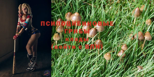 ECSTASY Армянск