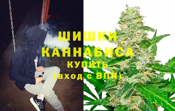 ECSTASY Армянск