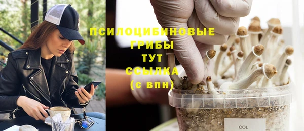 меф Алексин